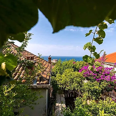Anika Hotel